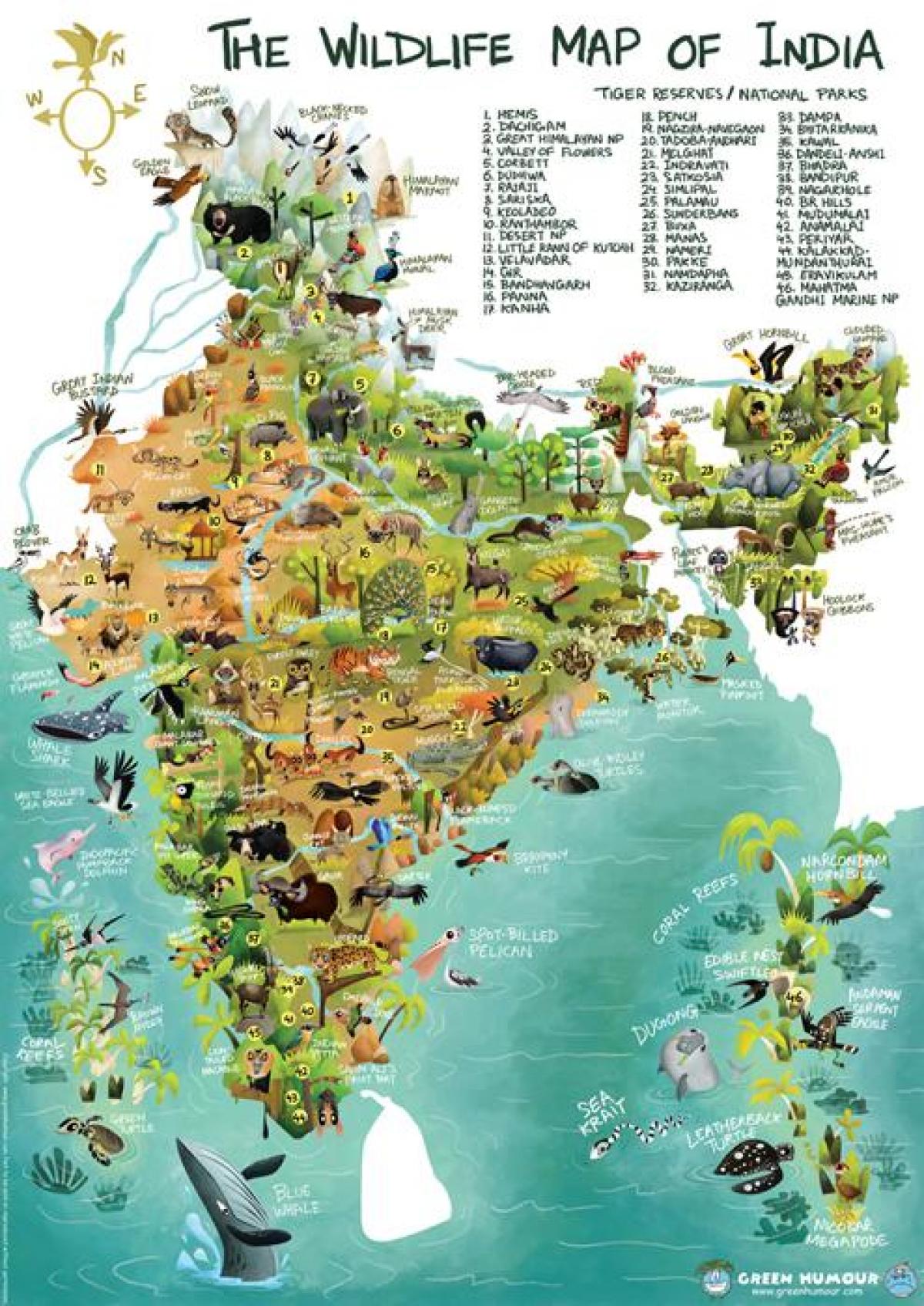 Indie wildlife mapě