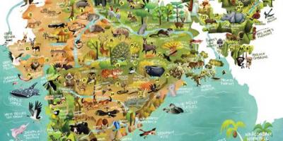 Indie wildlife mapě
